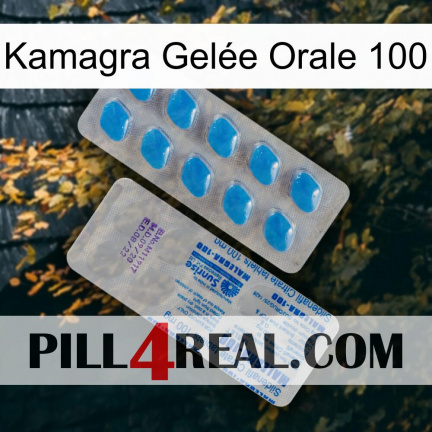 Kamagra Gelée Orale 100 new15